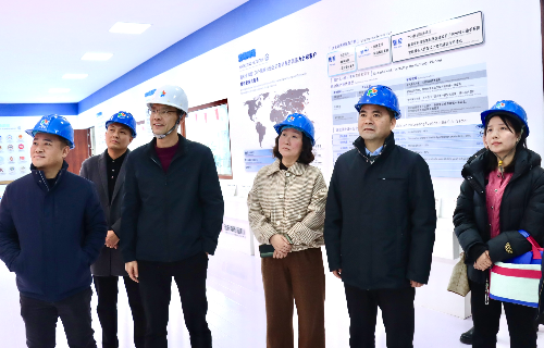 陽(yáng)光電源股份、宜賓智能制造行業(yè)協(xié)會(huì)、宜賓安徽商會(huì)調(diào)研遠(yuǎn)東電纜（宜賓）